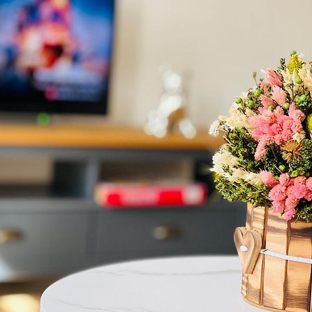 היידנאו Twenty Five Apartment Bei Dresden - Free Parking, Netflix & Coffee Machine מראה חיצוני תמונה